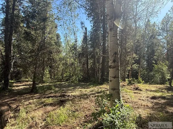 4376 Granite Rdg, Ashton, ID 83420