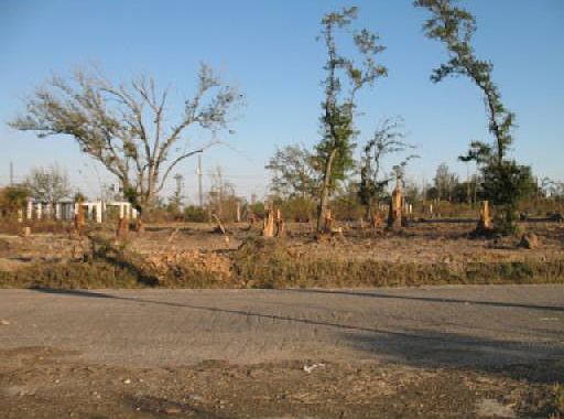 1st image of 0 Pine Tree Rd