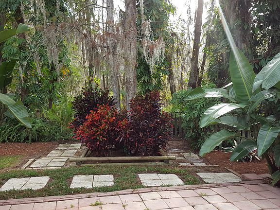 Back Yard View