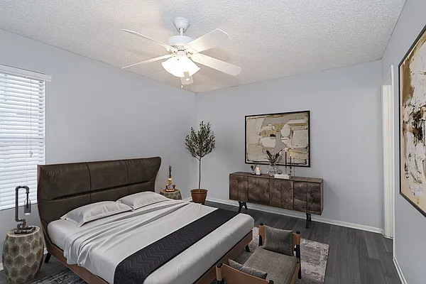 The Social Apartments — Photo 4
