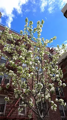 Rented by Stephen P. Wald | media 31