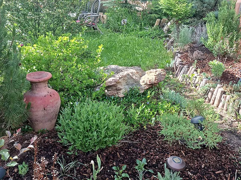 519 La Lomita Rd — Photo 24