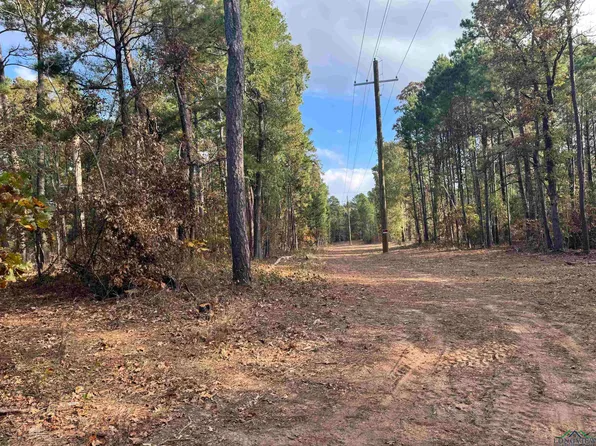 LOT 6 W County Road 4111, Henderson, TX 75654