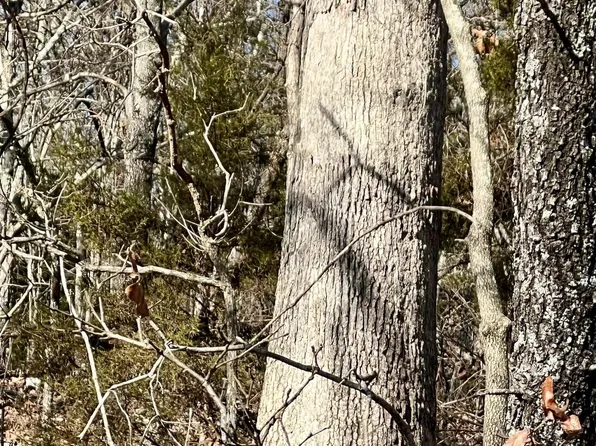 0 Starfield Trl, Mammoth Spring, AR 72554