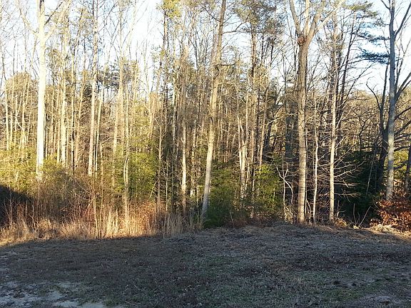 Private, wooded back yard!