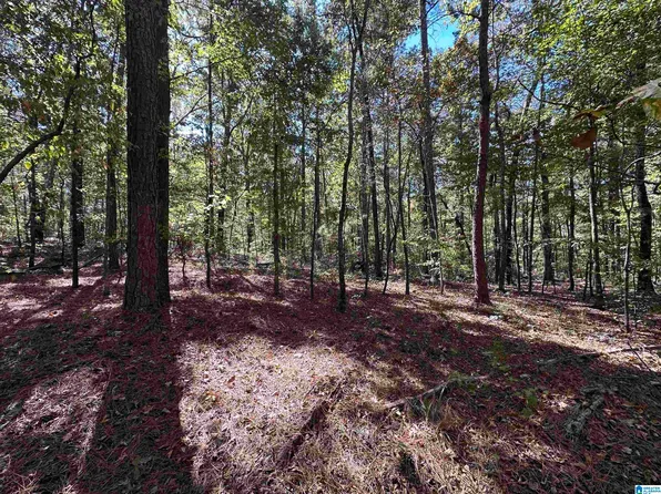 100 Country Manor Dr #1, Sterrett, AL 35147