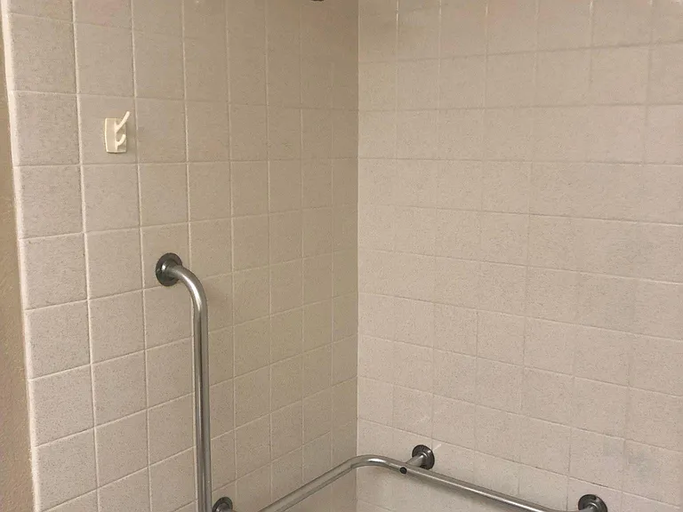 Primary shower/ Tub