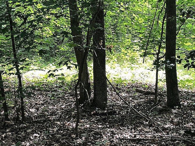 1st image of 0 Cliffside Dr