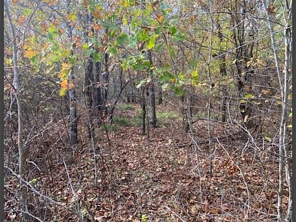 3rd image of 19 Hidden Pines Loop