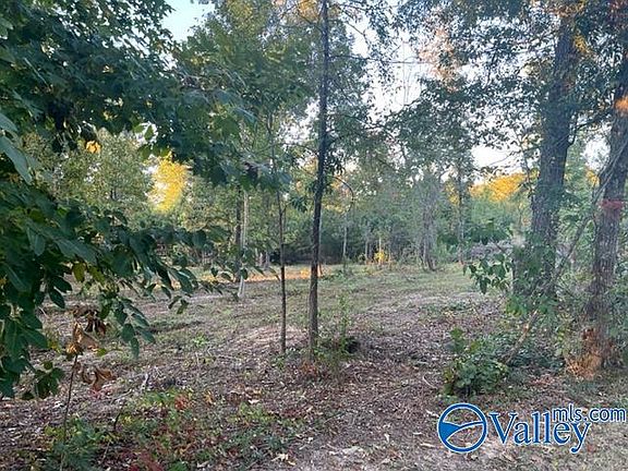 3rd image of LOT Henderson Dr