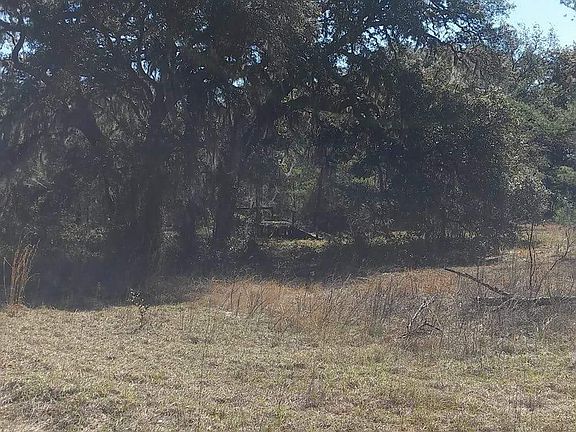 3rd image of 203 Mangrove St