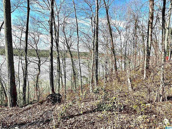 4th image of 0 River Terrace Dr Lot 13