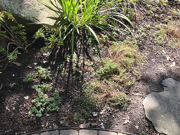 Front of house sidewalk