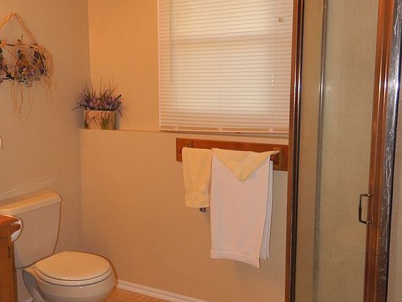 Downstairs Bathroom Shower