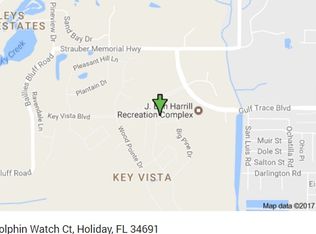 2719 Dolphin Watch Ct, Holiday, FL 34691