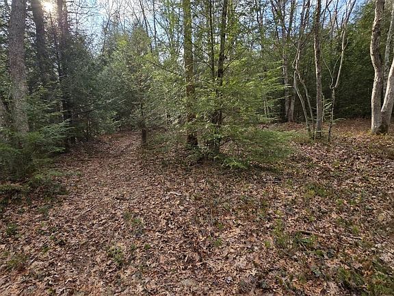 4th image of Snowy Rdg