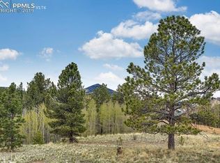 742 May Queen Dr, Cripple Creek, CO 80813