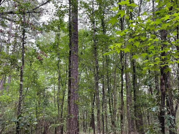 0 Private Road 6662, Mineola, TX 75773