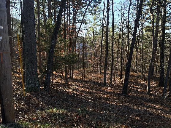 4th image of Tiverton Ln