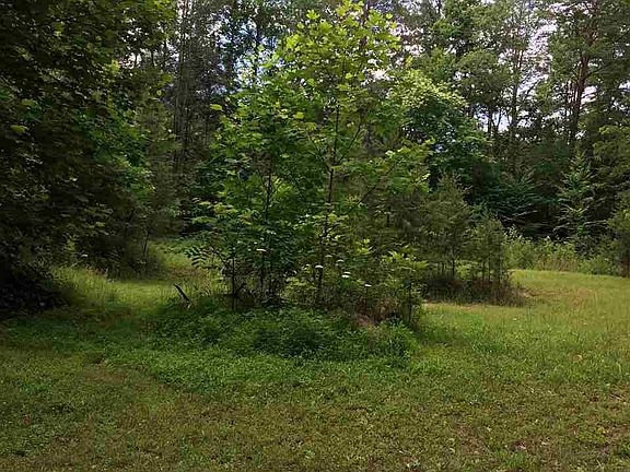 4th image of 3902 Forest Trail Dr