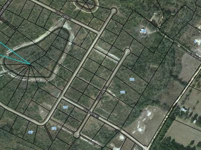 93 Picketts Mill Trl, Waynesville, GA, 31566