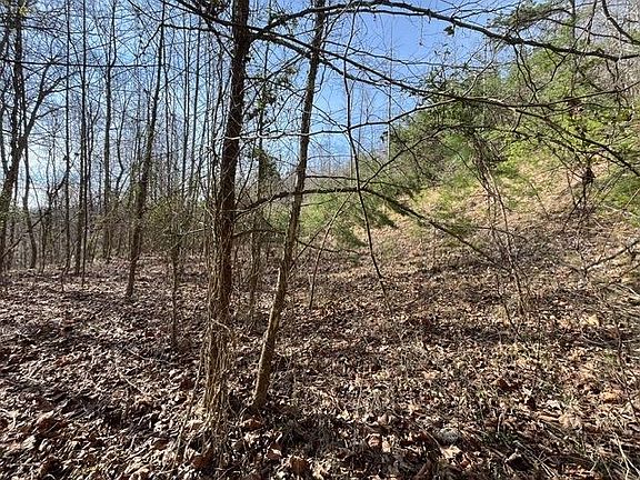 4th image of 326 Earl Crisp Rd