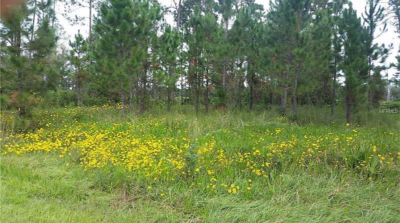 2nd image of Royal Trails Rd