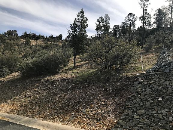 3rd image of 2262 Whitetail Ln