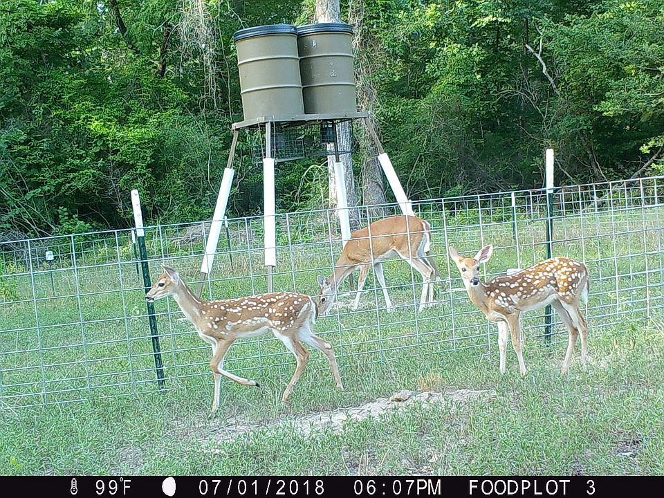 1st image of 724 Cr #2932