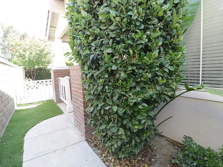 26504 Bryce Rd — Photo 23