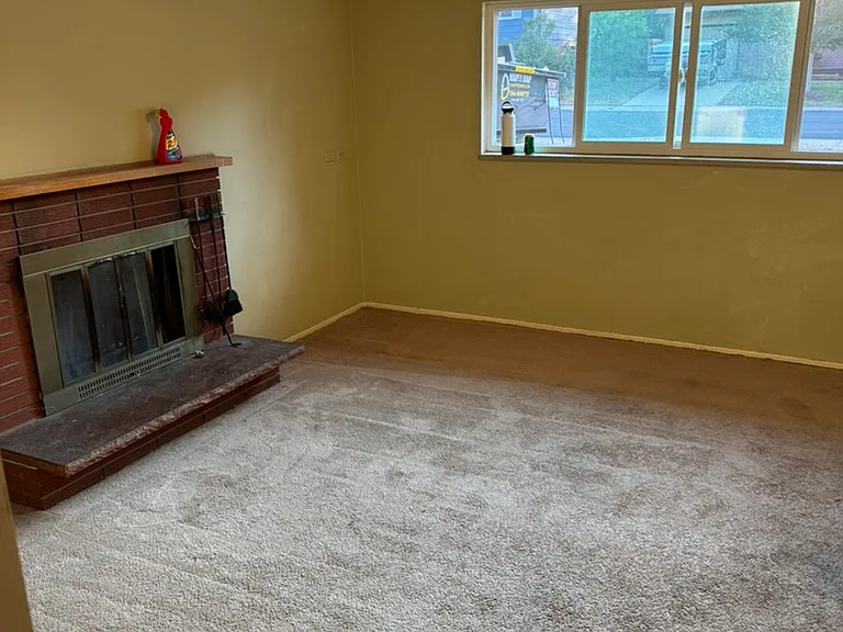 Lower level living room with fireplace