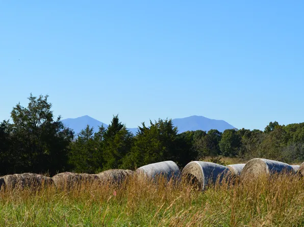 LOT 2 Goode Station Rd, Goode, VA 24556