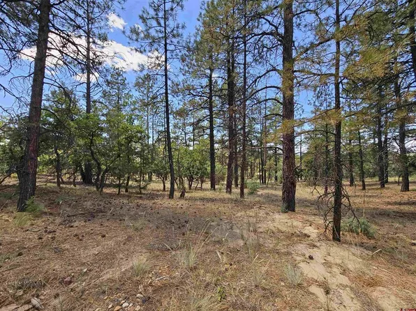 13 Rock Point Place, Pagosa Springs, CO 81147