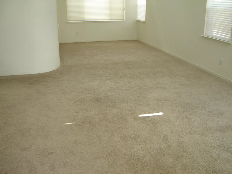 113 Quintana Ct — Photo 12