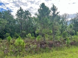 1131 Greenfield St, Lake Placid, FL 33852