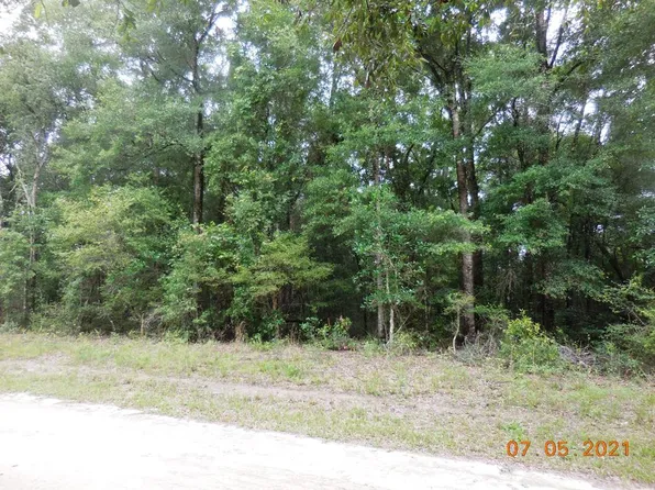 NW 165th St, Fanning Springs, FL 32693