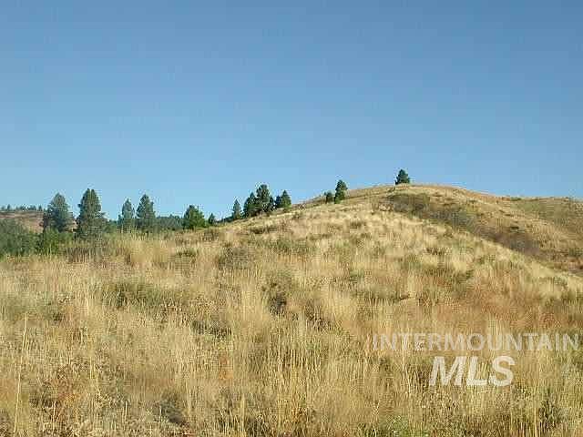 2nd image of 110 Gold Fork Ridge Rd