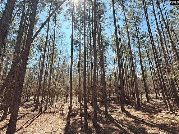 5th image of Bhl 10 Boise Cascade Rd #Bhl-10