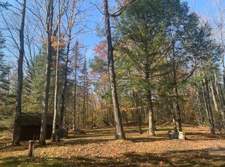 12589 W Shore Heights Ln #W, Mountain, WI 54149