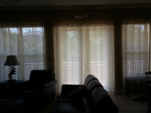 Back veranda privacy, palms 