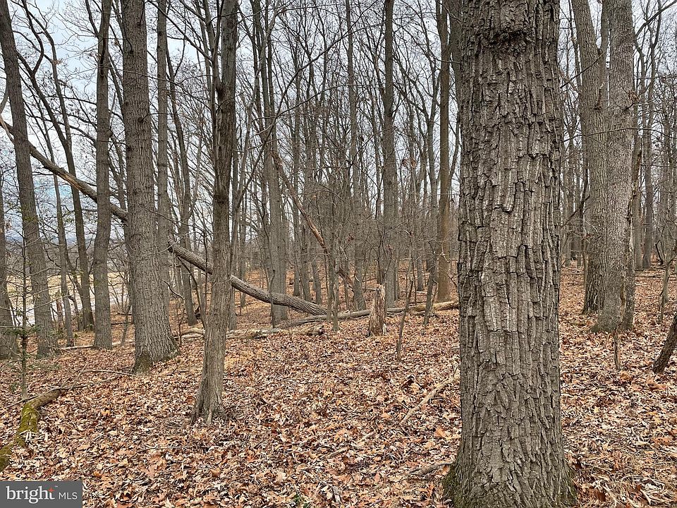 2nd image of 3020 Black Rock Rd
