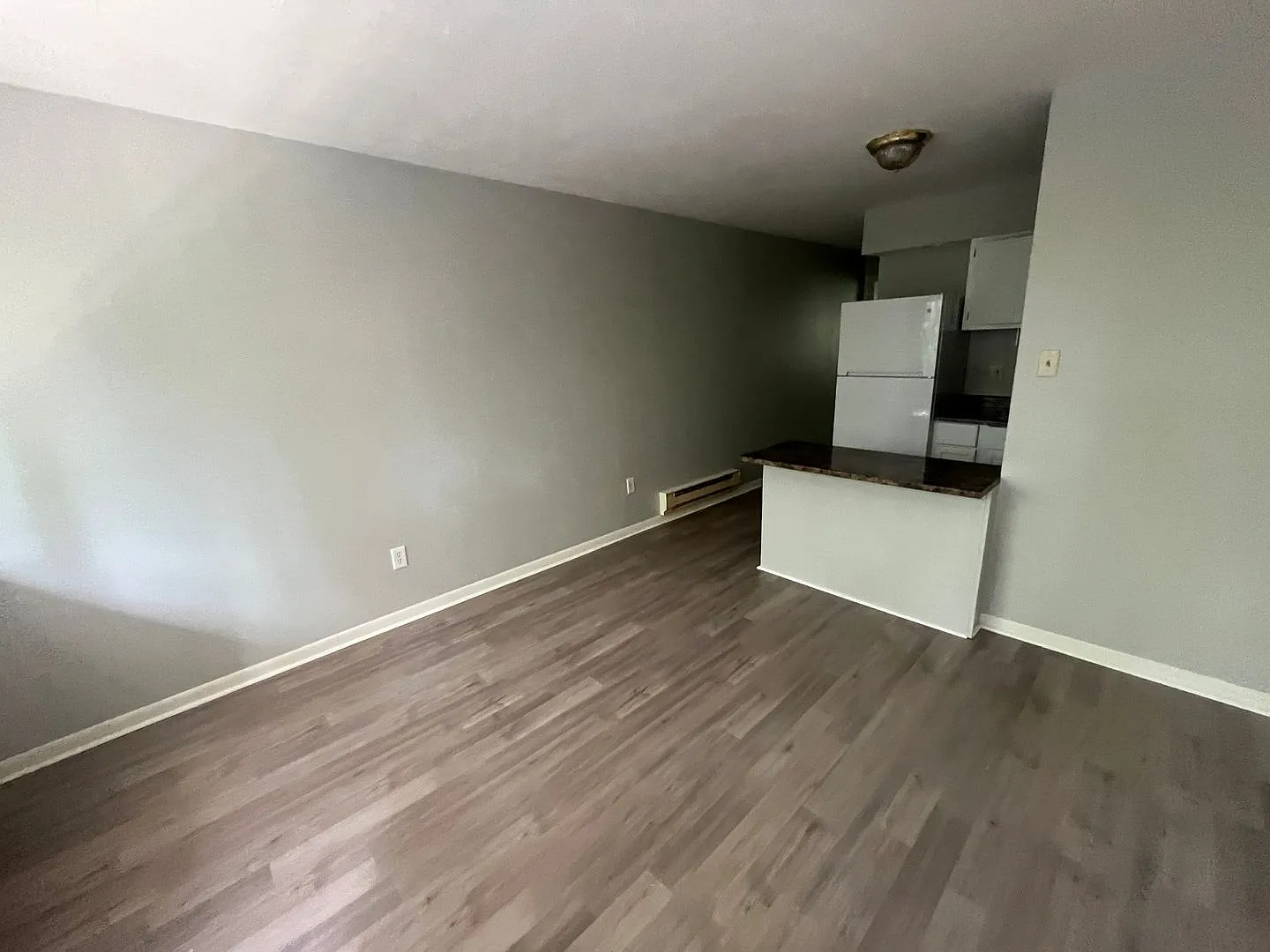 728 West Dixie - Lemongrass — Photo 4