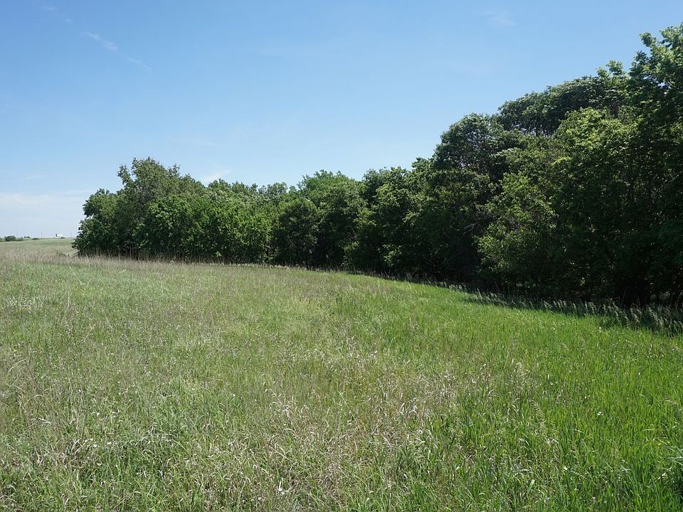 Northwest field edge