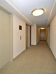 Sold by Chintan Trivedi