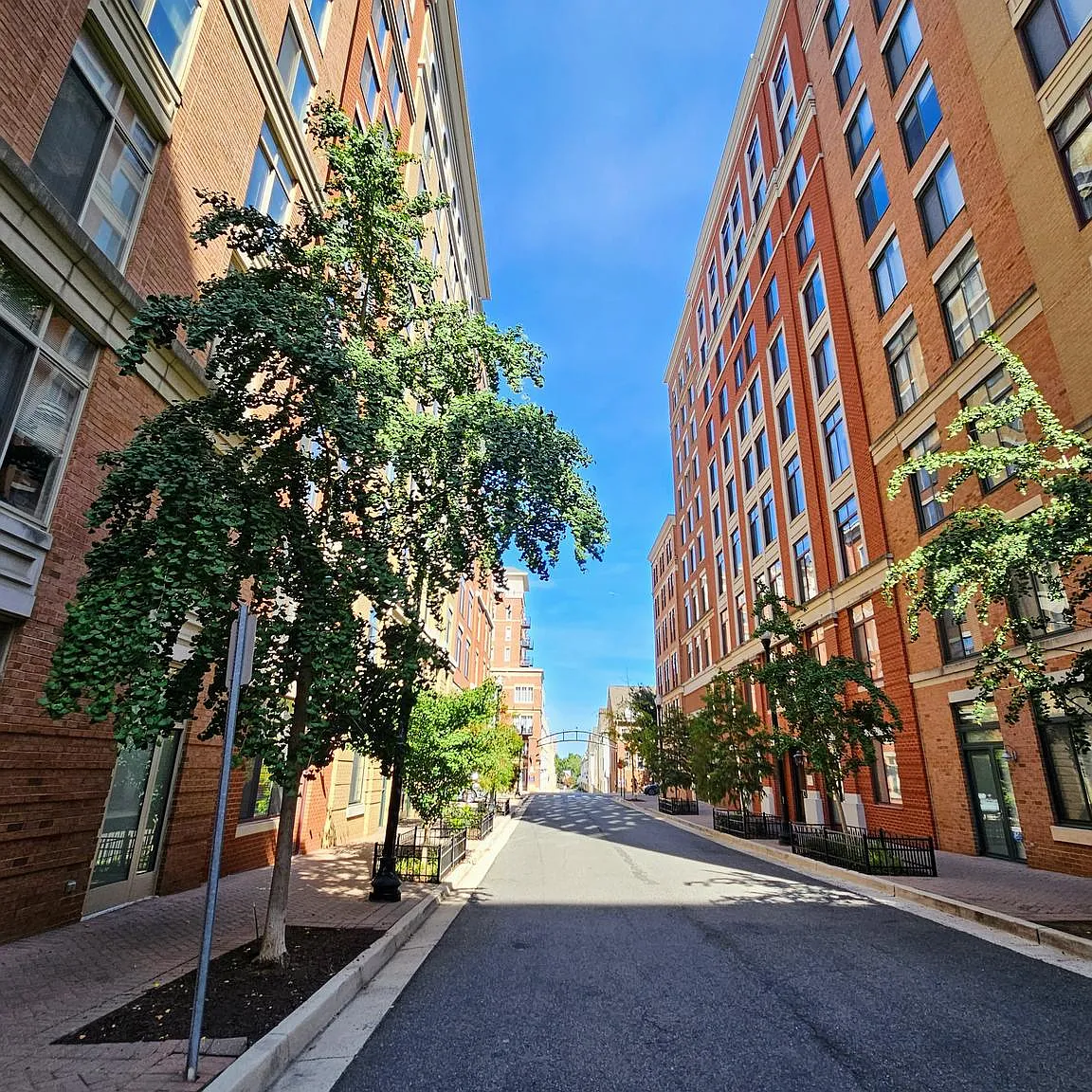 Residences At Station Square — Photo 4
