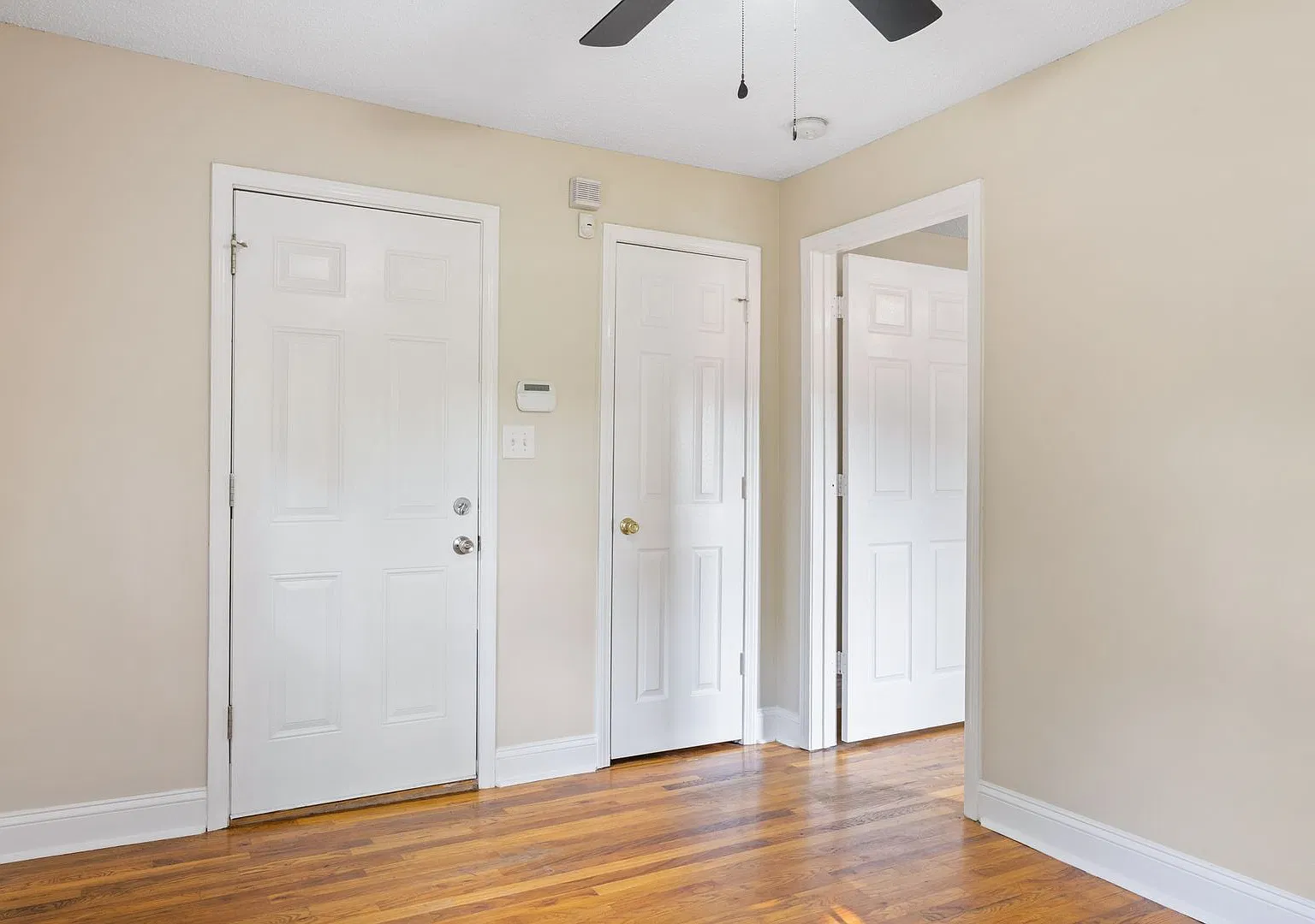 308 Gill Street — Photo 4