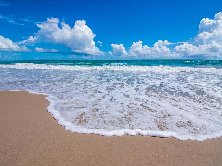 4800 Highway A1A #307 — Photo 43