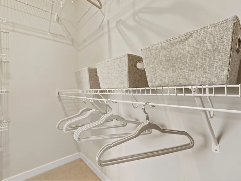 Seasons at Franklin Walk-in Closet