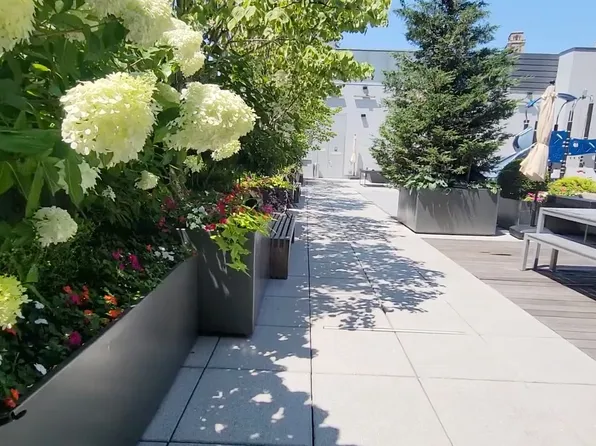 388 Bridge Street image 19 of 33