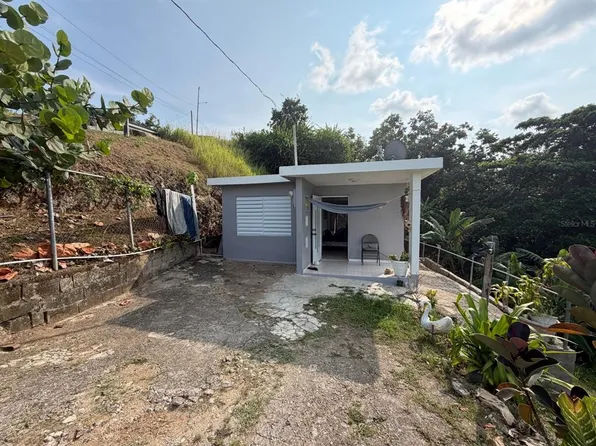 Parcela 181 SECTOR EL COMUN, RIO BLANCO, PR 00744